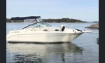 Sea Ray 270 Sundancer-kuva-11